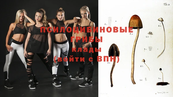 кокс Верея