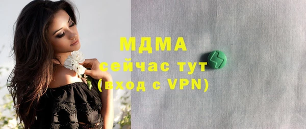 прущие грибы Волоколамск