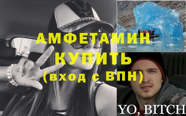 прущие грибы Волоколамск