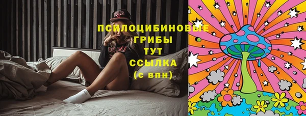 прущие грибы Волоколамск