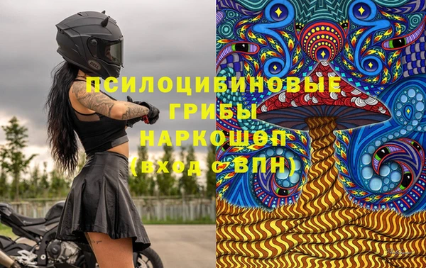 jwh Богородицк